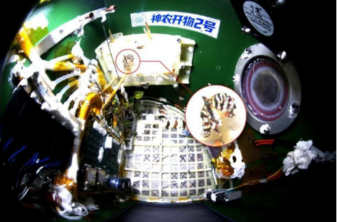 A judge's gavel resting on a pile of one-dollar bills